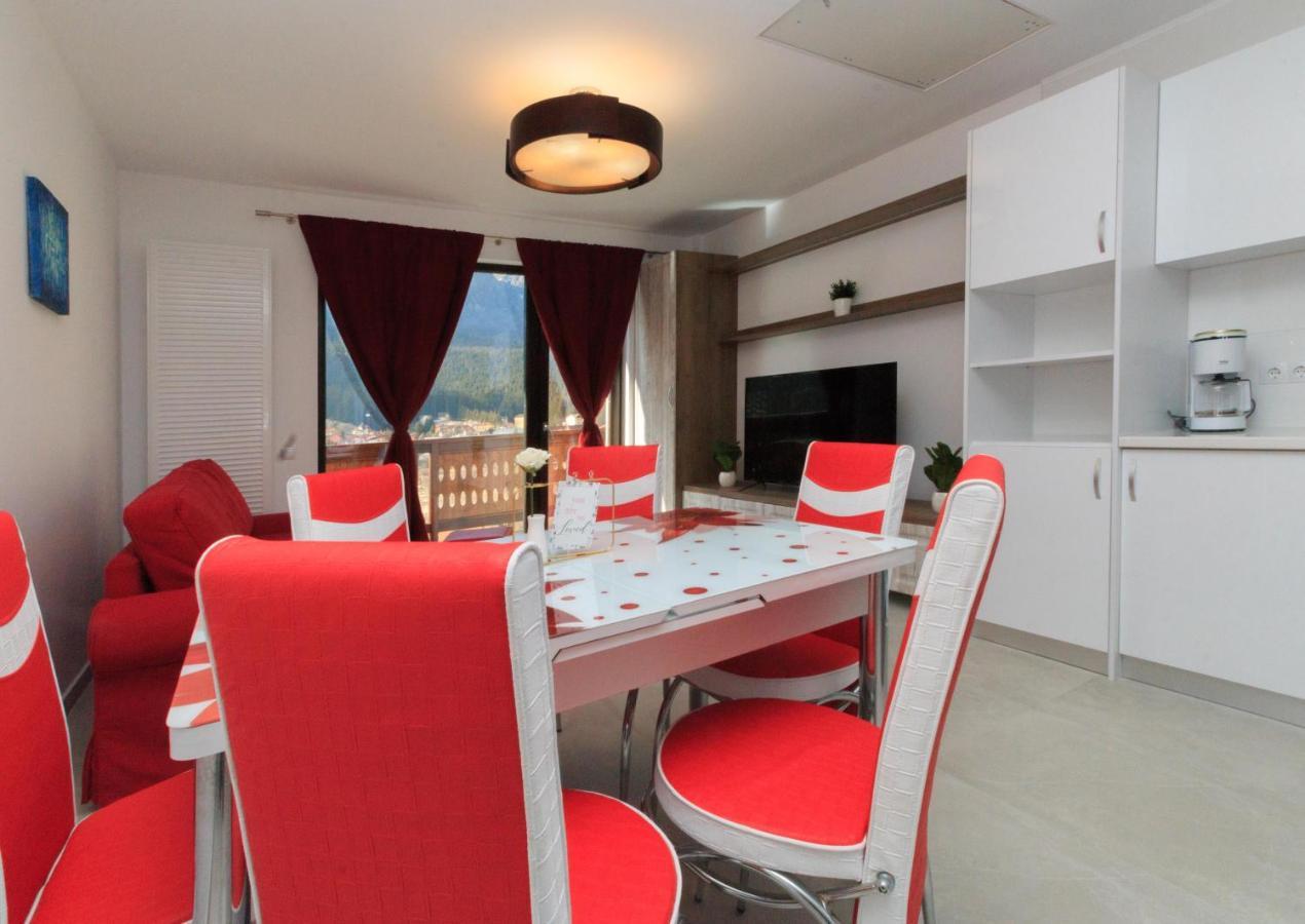 Stars & Mountain Apartment Buşteni 外观 照片