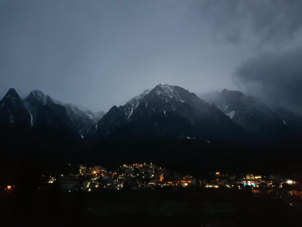 Stars & Mountain Apartment Buşteni 外观 照片