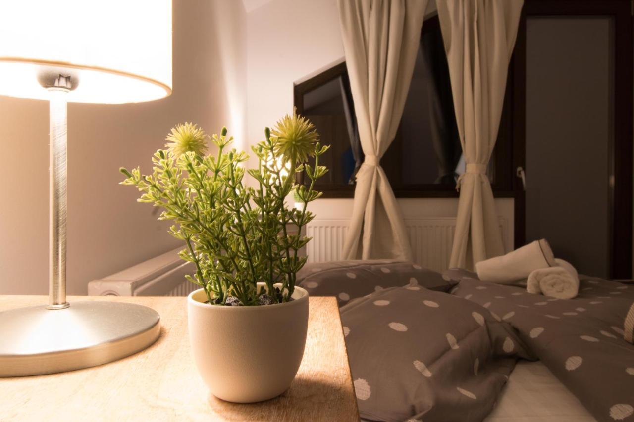 Stars & Mountain Apartment Buşteni 外观 照片
