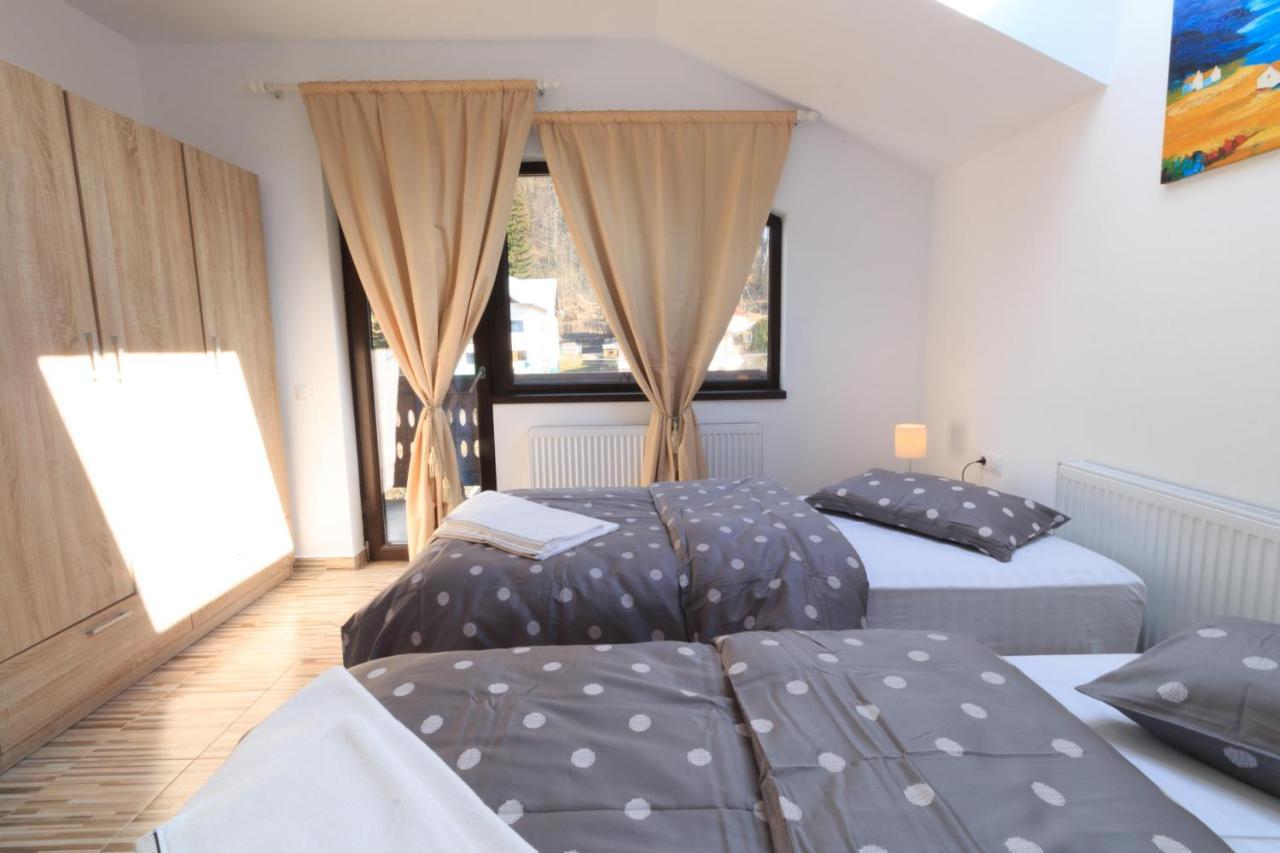 Stars & Mountain Apartment Buşteni 外观 照片